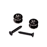 Planet Waves PWEP102  Solid Brass End Pins - Black (Pair)