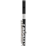 Jupiter XD03161 Piccolo JPC1010 w/Case, Cleaning Rod