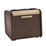 Fishman PRO-LBT-400 Loudbox Micro Guitar Amp - 40 watts - $50 PRICE DROP!