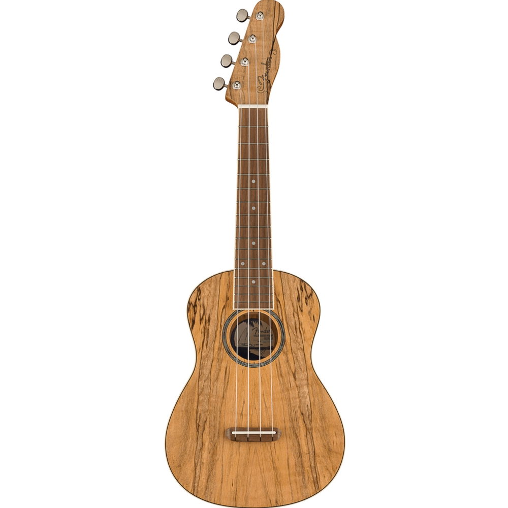 Fender 0970450594 Zuma Exotic Concert Ukulele - Spalted Maple