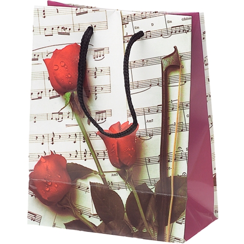 AM Gifts  65900 Small Sheet Music Bag