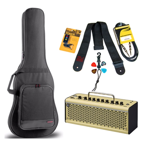 NW Music THR10IIELECPKG Basic THR10 Amplifier Electric Guitar Package - SAVE $30 to 7/31/24!