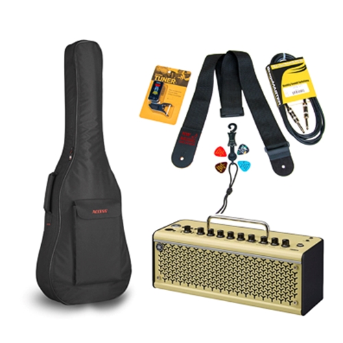 NW Music THR10IISMALLPKG Basic THR10 Amplifier Small Body Guitar Package - save $30 TO 7/31/24!