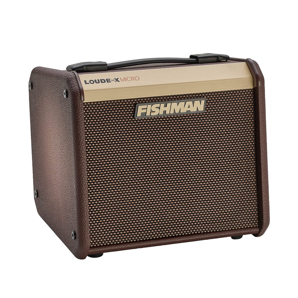 Fishman PRO-LBT-400 Loudbox Micro Guitar Amp - 40 watts - $50 PRICE DROP!